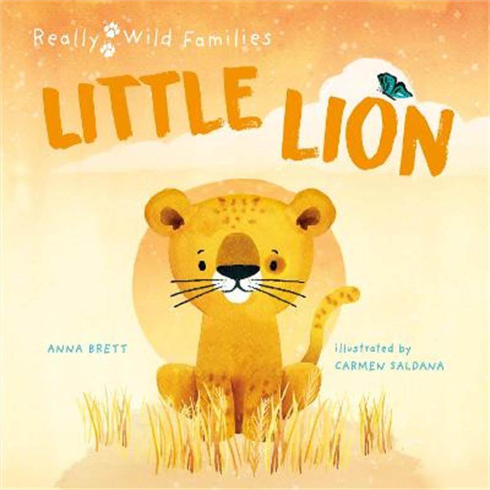 Little Lion: A Day in the Life of a Lion Cub (Hardback) - Carmen Saldana